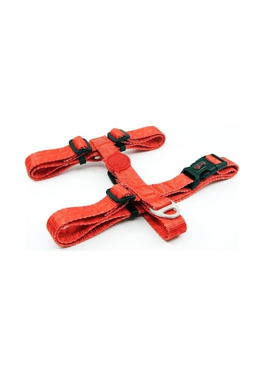 Tailpetz H-tip Prism L Orta-Büyük Irk Köpek Göğüs Tasması (Göğüs Turuncu