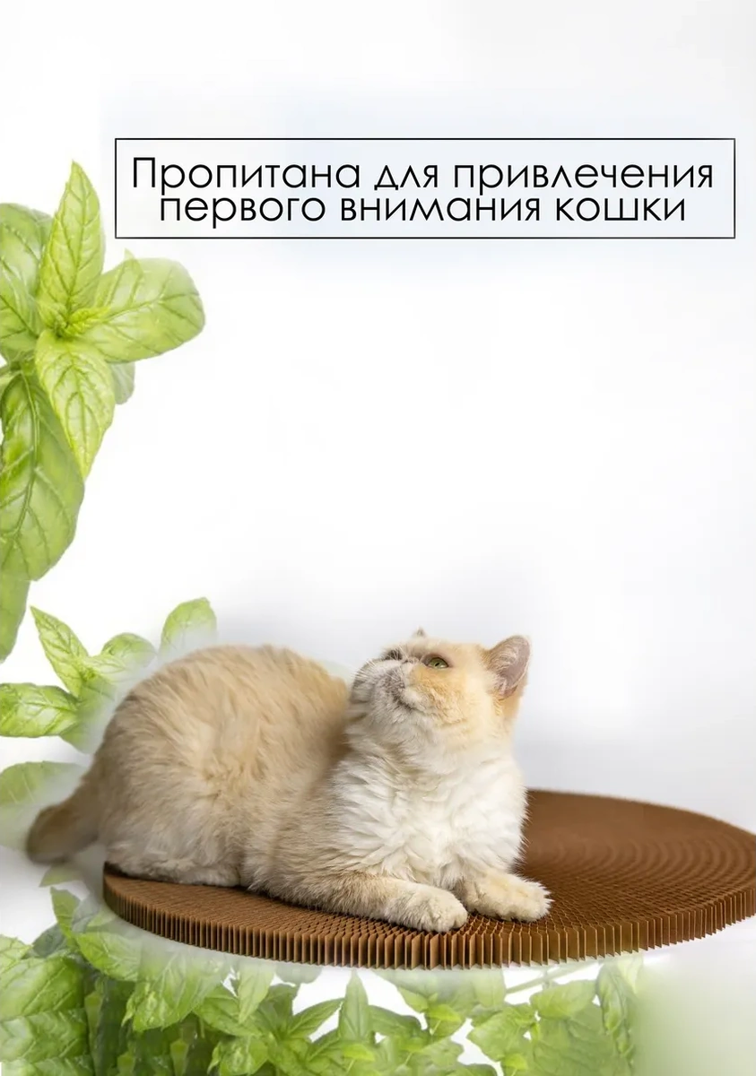 Zver'e Moe Kediler İçin Karton Tırmalama Direği 19358997