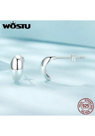 Gümüş Wostu 925 Ayar Gümüş Basit Ay Saplama Küpe Kadınlar Için Ins Tarzı Aerodinamik Kulak Sutds Pendientes Düğün Takısı 925 Ayar