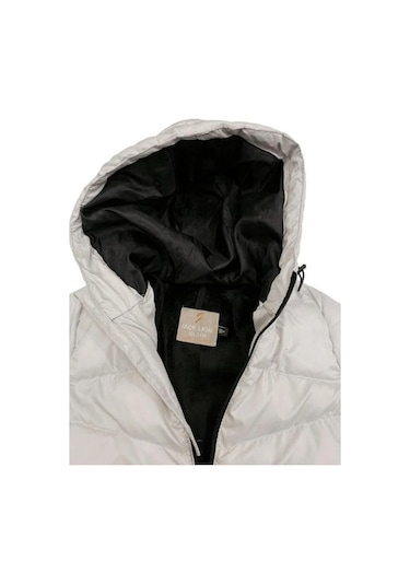 Erkek Çocuk Kapüşonlu Şişme Mont-11053 Gri