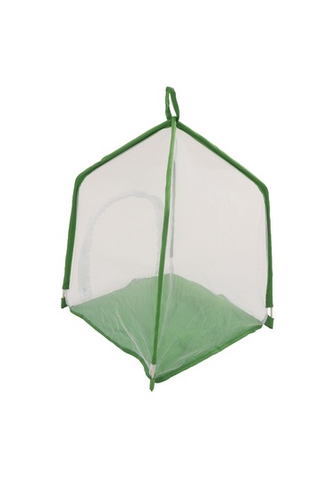 Youmex Görsel Geliştirici Böcek Gözlem Kafesi - İnce Ağızlı, İki Zıplayıcı Kapı, Transparan, Mantarlar, Kelebekler Ve Süs Bitkileri İçin Uygun