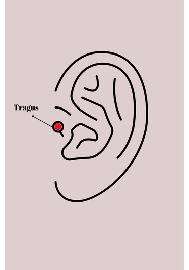 Dodes Dodes 316l Çelik Gümüş Renk Beyaz Minelik Kalp Sallantı Zirkon Taş Detay Tragus Piercing Tg27p Çok Renkli