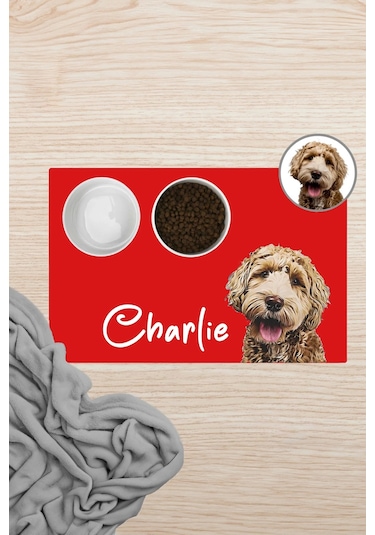 Matgo Pati Hayvana İsme Özel Fotoğraflı Beslenme Matı Kaymaz Sıvı Geçirmez Kedi Köpek Mama Paspası 5