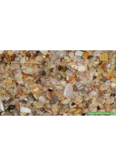 Akvaryum Kumu Gerçek Midye Kırığı Içerikli Kum 5 Kg
