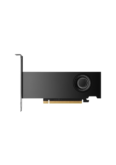 HP NVIDIA RTX 2000 ADA 8D6B8AA 16 GB GDDR6 192 Bit Ekran Kartı