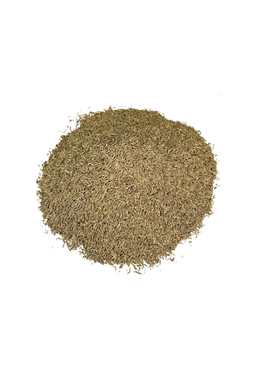 Çim Tohumu Yedili Karışım 100 Gr 1 Adet