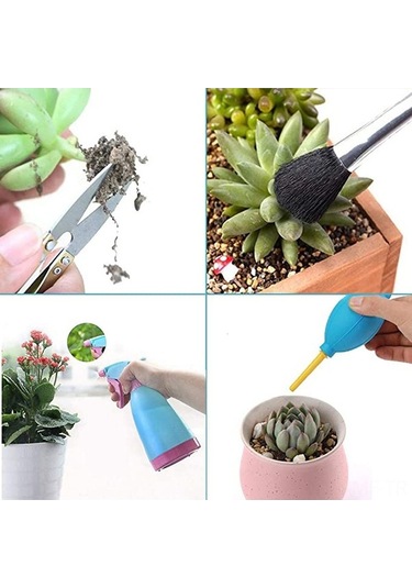 Pazly 14 Parça Sukulent Ekim Seti, Bahçe Peyzaj Ve Çiçek Dikim Araçları, Mavi