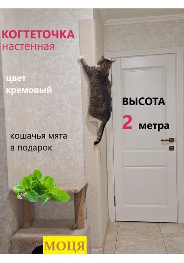 Moca Köşe Tipi Duvara Monte Edilen Kedi Tırnak Törpüsü 200x23 Cm 241601328