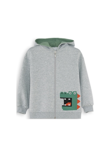 Denokids Dinozor Erkek Çocuk Fermuarlı Kapüşonlu Sweatshirt - Gri