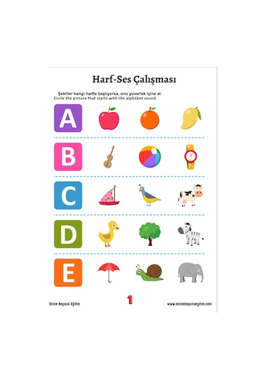 Çocuklar İçin İngilizce Eğitim Seti 3 Kitap + 15 Saat Anlatım
