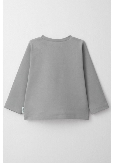 Breeze Erkek Çocuk Uzun Kollu Tişört Basic 1-4 Yaş, Açık Gri-açık Gri Açık Gri