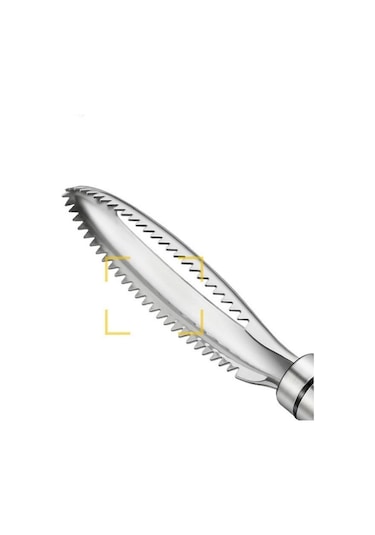 Balık Terazisi Kazıma Rendeleri Hızlı Çıkarma Balık Temizleme Soyucu Kazıyıcı Balık Kılçığı Cımbız