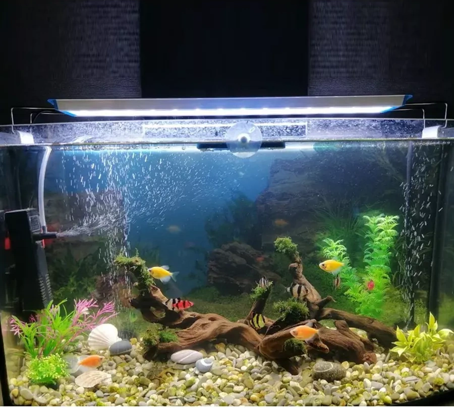 Ogonek Akvaryum Lambası Led Og-ldp26 Beyaz 246870523