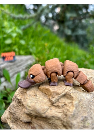 Ornitorenk Oyuncak 3d Hareketli Organik Vip Model- Orta Boy