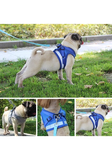 Geeroyoo "yansıtıcı Köpek Yeleği - Çekmeyi Önleyen, Ayarlanabilir, Nefes Alabilen Kumaş, Kedi/köpek/yavru İçin Kırmızı, Xl " Kırmızı