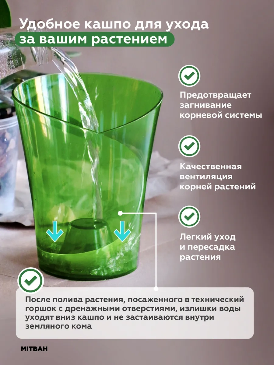 Mıtbah Şeffaf Orkide Saksısı 2 Adet 74247175