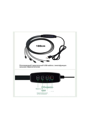 Singree Akıllı Bitki Büyüme Lambası - 12 Gözlü Fide Tepsisi Ve Ek Aydınlatmalı 5 Adet Saksı Seti