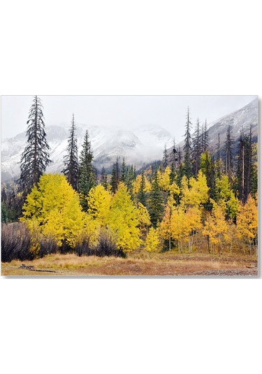 Cakasepetim Sonbahar Rengi Ağaçlar Ve Arkada Karlı Dağlar Ahşap Mdf Tablo
