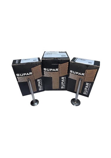 SUBAP TAKIM / RENAULT FLASH 1700 / 105319108 - 7701463082/770