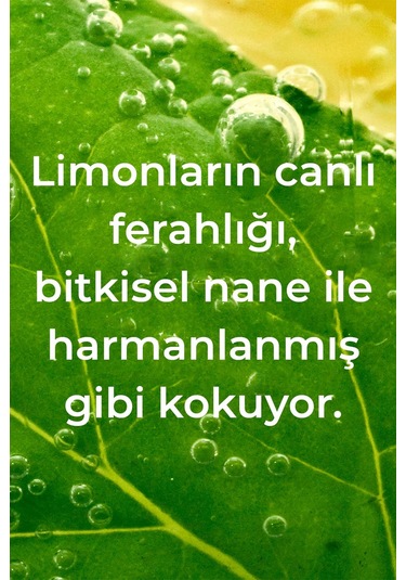 Method Lemon Mint El Yıkama Köpüğü 300 ML