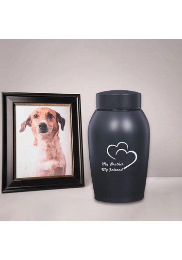 Homyl Pet Urn Saklama Kabı Tavşan Köpekler Kediler Stil-a Altın