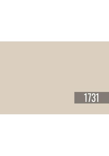 Jotun Ginger Mist 1731 Dış Cephe Jotashield Silk Serisi