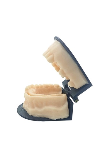 Barışhan Medikal Silikon Çene Diş Dikiş Modeli Ortodontik Alt Üst Çene Periodontal Sütür Eğitim Modeli-2