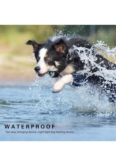 Ip67 Su Geçirmez Şarj Edilebilir Köpek Eğitim Tasması Otomatik Elektrikli Şok Köpek Tasması Evcil Hayvan Tasması Havlama Durdurucu Otomatik Köpek Tasması Köpek Eğitimi