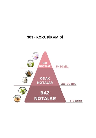 BEX 301 Unisex Parfüm EDP 50 ML