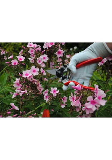 Felco 6 Budama Makası +  Bere