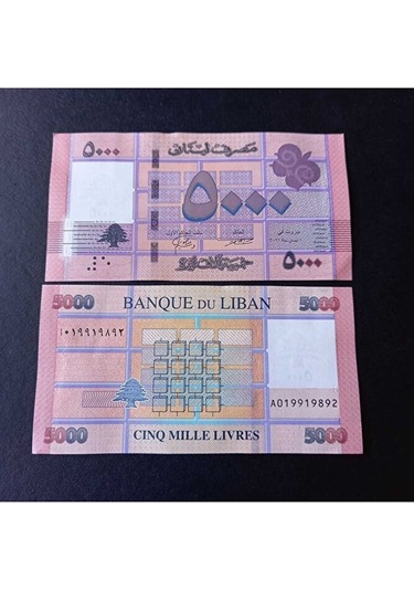 Lübnan 5000 Livres Çil Eski Yabancı Kağıt Para