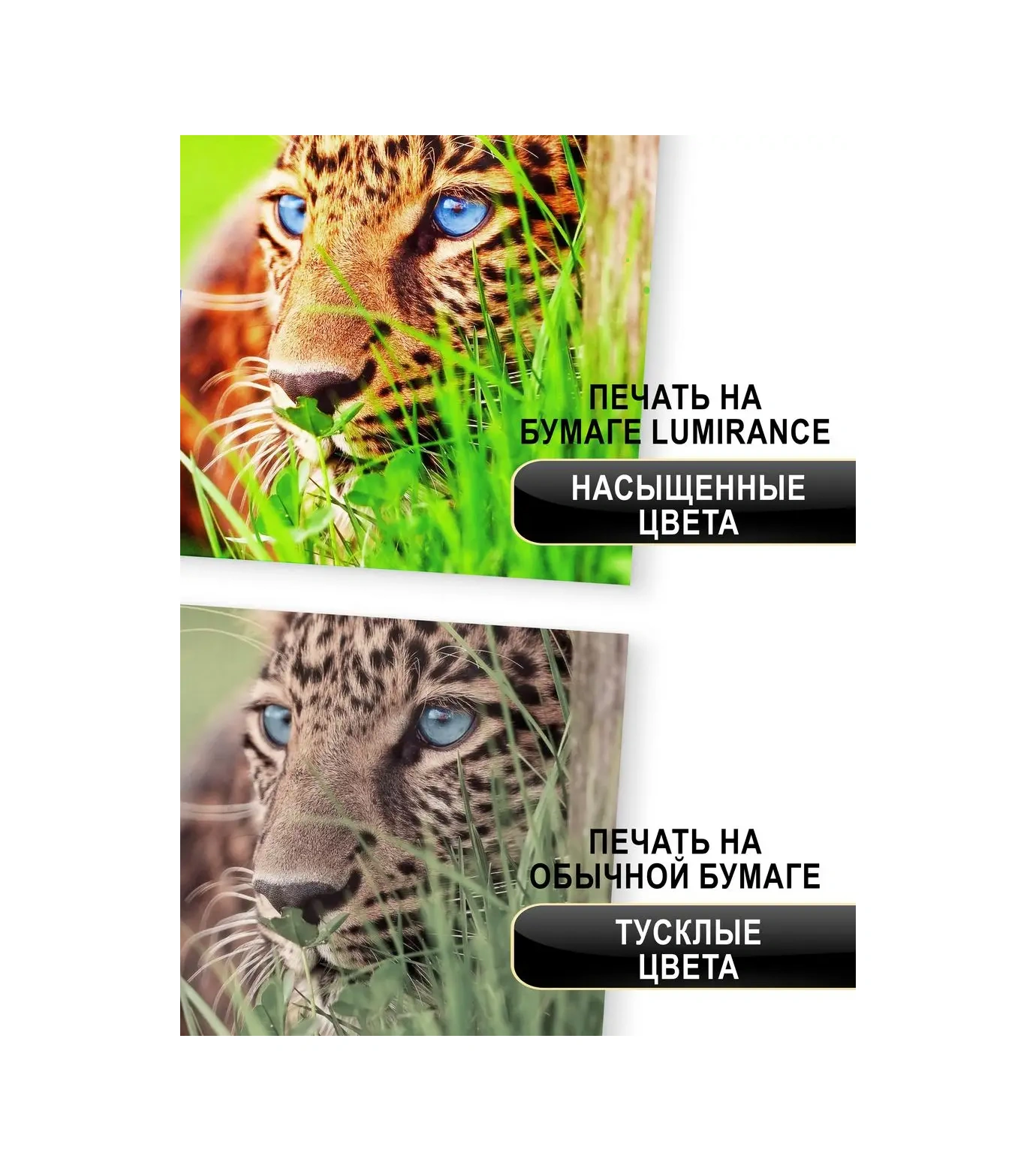 Lumırance Kendinden Yapışkanlı A4 Fotoğraf Kağıdı, Parlak, 115 Gr/m2 65739830