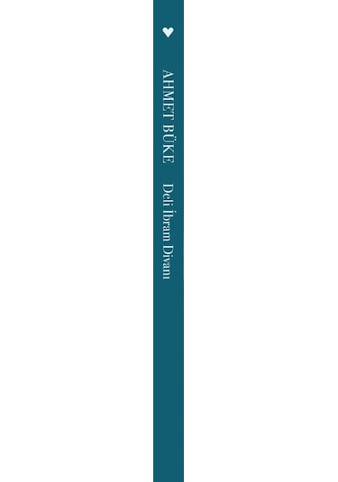 Deli Ibram Divanı - Ahmet Büke - Can Yayınları