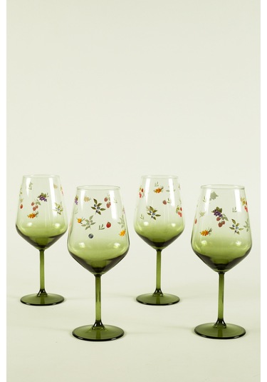 Rakle Jardin 4'lü Su Kadehi Seti 490 Cc Renkli