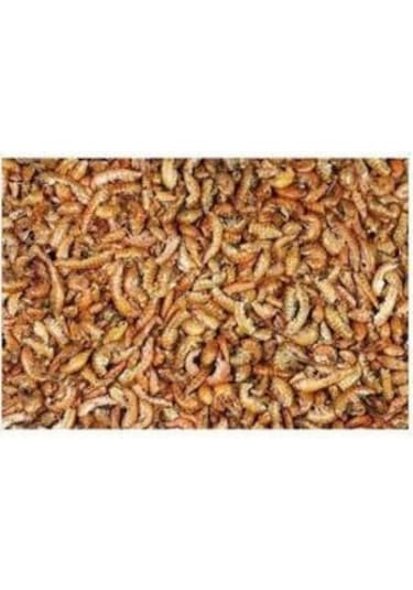 Gammarus Kurutulmuş Karides Balık Kaplumbağa Yemi 250 G