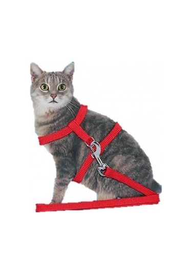 Ayarlanabilir Kedi Köpek Gezdirme Göğüs Bel Tasması