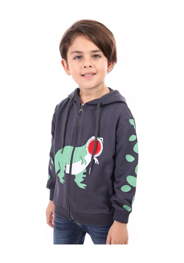 Toontoy Erkek Çocuk Baskılı Hırka Füme