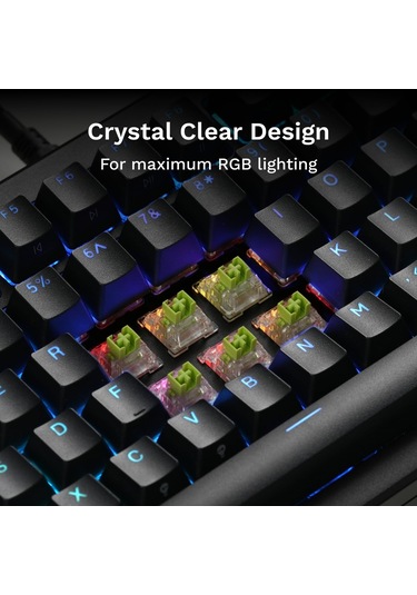 Glorious Oyun - Raptor Clicky Anahtarlar 36 Adet , He Hotswap Iç