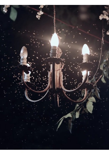 Homsly Led Lamba C35 "mumu" E14 8 W, 4000k 293783511