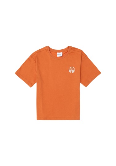 U.s. Polo Assn. Erkek Çocuk Tarçın Tişört Basic 50295503-vr191 Tarçın