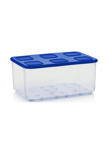 Tupperware Şeffaf Kap 2.53L Lacivert