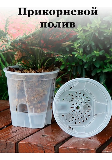 Saburg Tabandan Sulamalı Orkide Saksısı 2 Ad 368352992