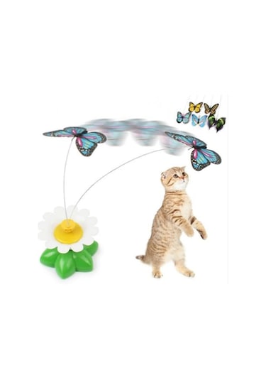 Buffer Hareketli Dönen Kelebek Pilli Kedi Oyuncağı