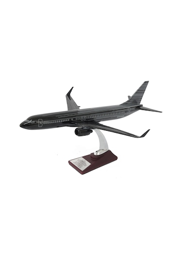 Zekupp Boeing 737-800 1/100 Siyah Çok Çizgili Tasarım Model Uçak