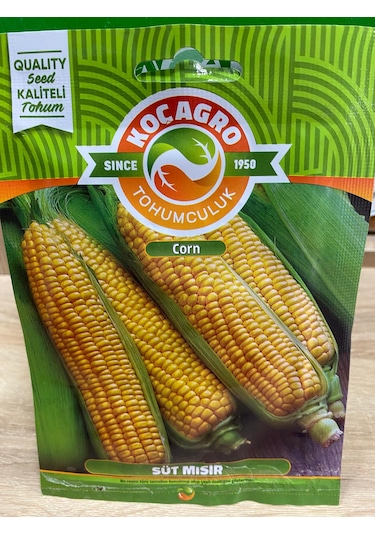 Agr Süt Mısır Tohumu Mısır