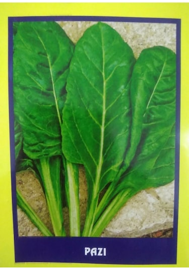Pazı Sebze Tohumu 20 GR