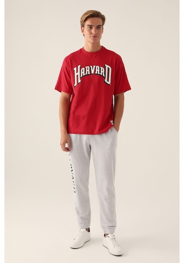 Harvard Cool Kırmızı Erkek T-shirt 5274-42813 Kırmızı