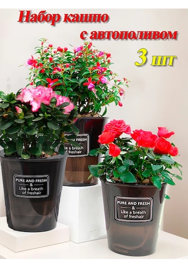 Saburg Fitil İle Otomatik Sulamalı Orkide Saksısı, 3 Adet, 0,8l 12416197