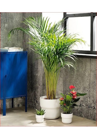Ikea Çiçeklik, Beyaz 9 Cm, Förenlıg 156587310