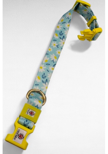 Caramelos İsimli Köpek Tasması, İsimli Tasma, Orta Ve Büyük Irk L